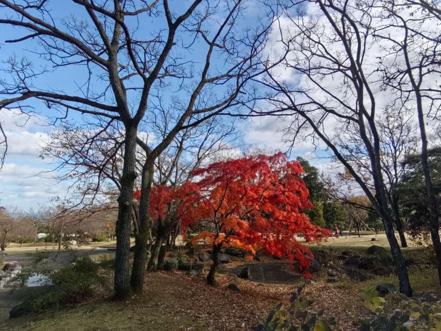 Sankai * Beppu